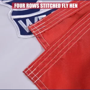 Iowa Flag Embroidered Polyester 6