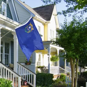 Nevada Flag