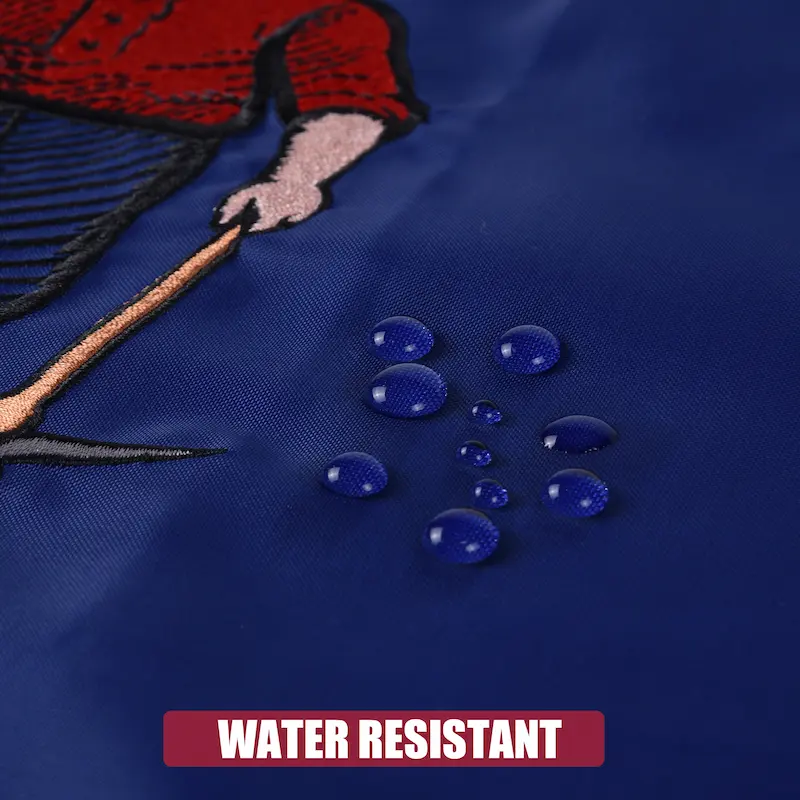 Vicdria Wisconsin Flag Waterproof