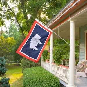 Wyoming Flag